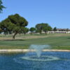 $45 Gets You And A Guest 2 Green Fees With Cart At Artesia Country Club! - Image 4