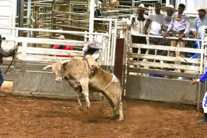 Tuff Hedeman Bullriding Jan. 25, 2025!!! 1 General Admission Ticket In Hobbs NM