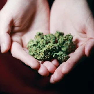 $100 Towards Purchase At Bud Board Dispensary Valid At Both Locations